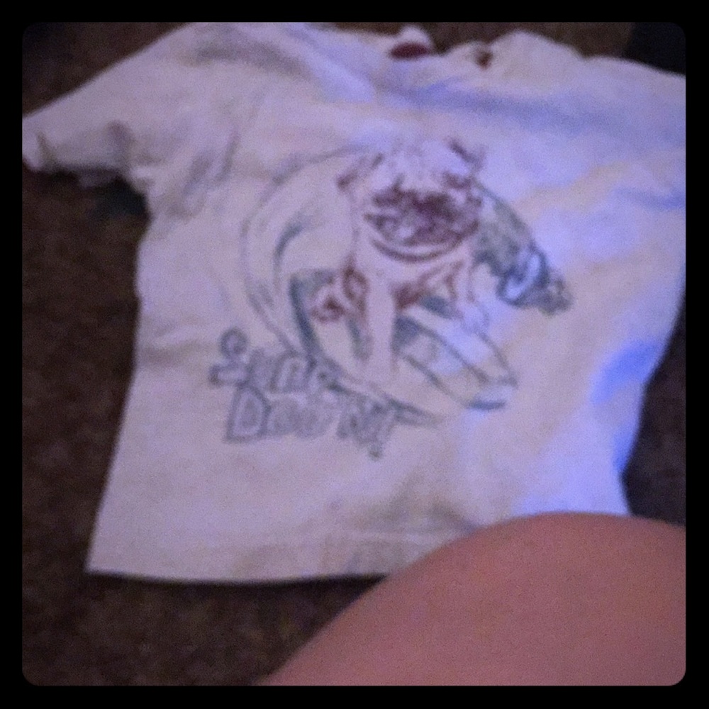 A  t shirt